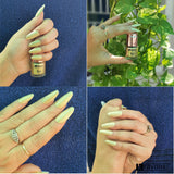 Krayons Crazy Gel Nail Enamel, Waterproof, Longlasting, 8ml Each, Multicolor, Pack of 4 (Golden Treasure, Silver Glitter, Shimmer Silver, Shimmer Golden)